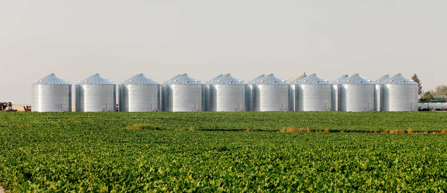 Grain Bins